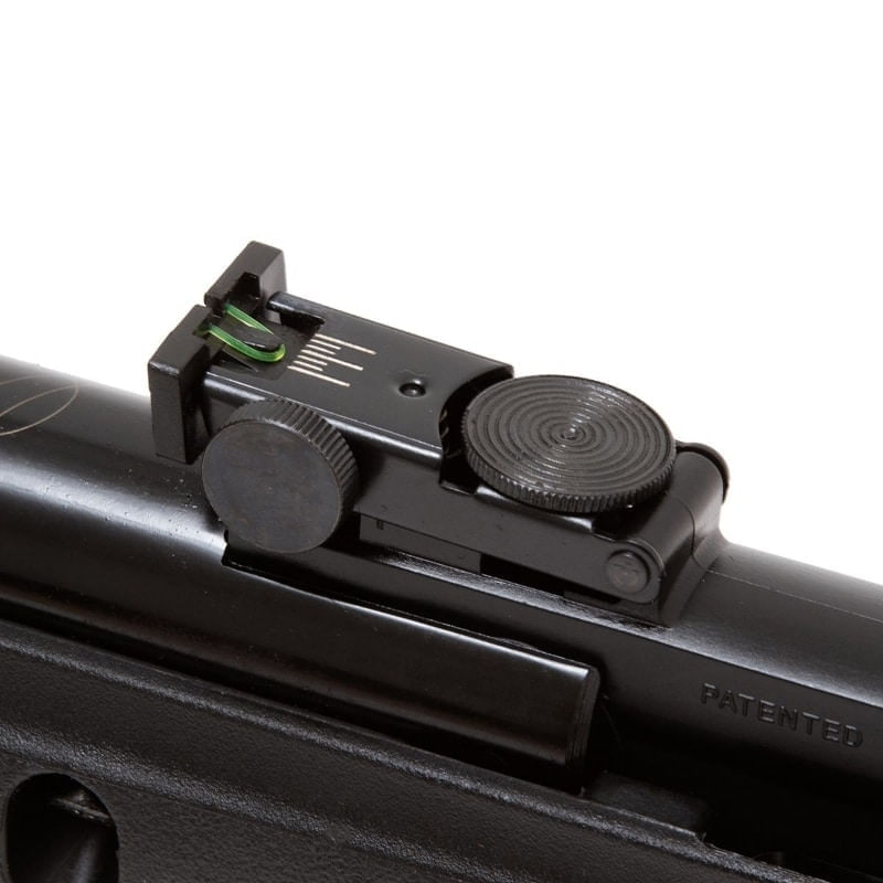carabina-gamo-nova-big-cat-1000-5,5mm-igt-+-chumbinhos